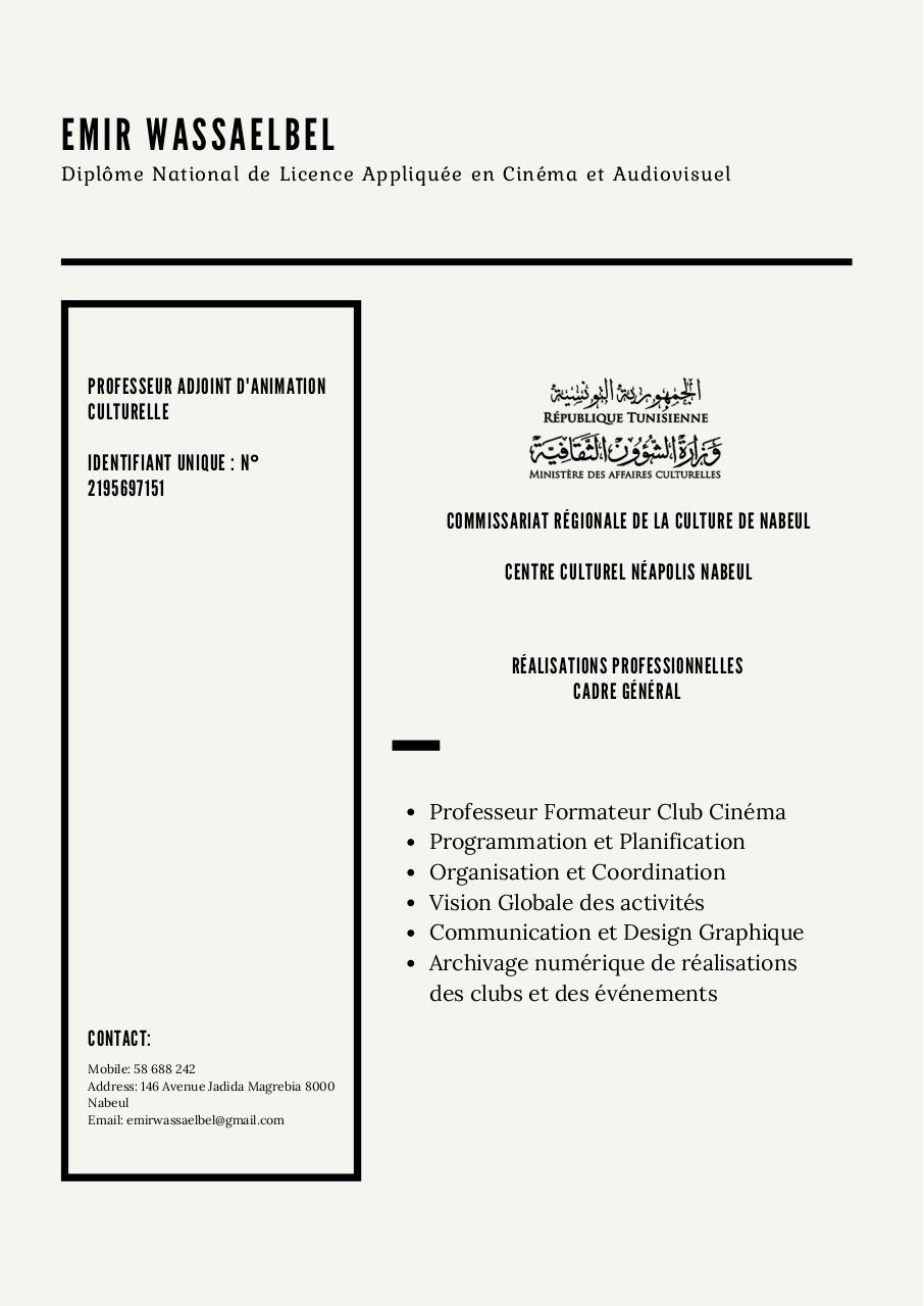 Portfolio Emir Wassaelbel.pdf - page 1/16
