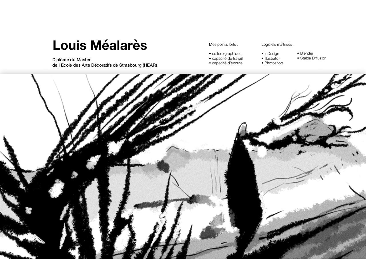 Mealares_Louis_Portfolio.pdf - page 1/9